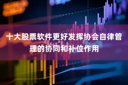 十大股票软件更好发挥协会自律管理的协同和补位作用