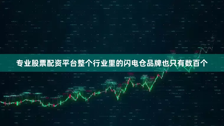 专业股票配资平台整个行业里的闪电仓品牌也只有数百个