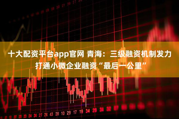 十大配资平台app官网 青海：三级融资机制发力 打通小微企业融资“最后一公里”